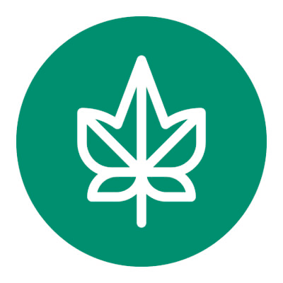 エルシャートロゴ。緑の丸にアイビーの葉のデザイン。